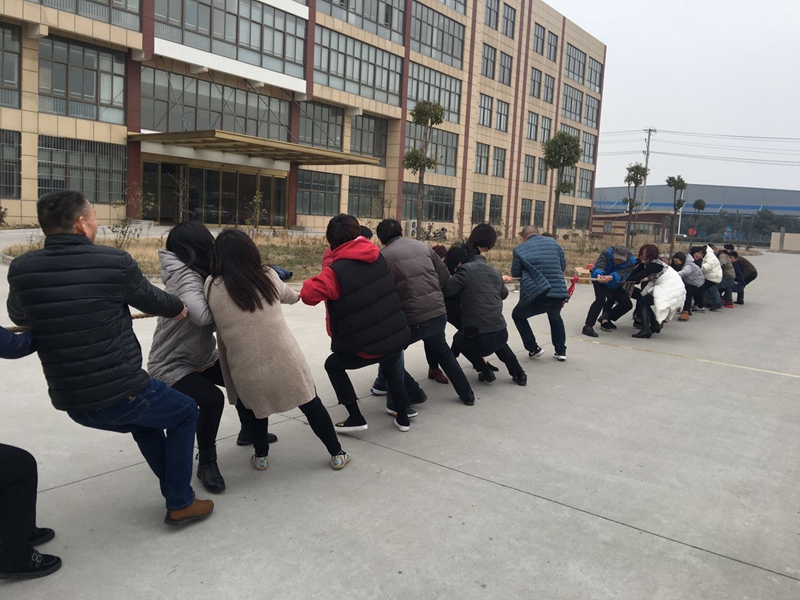 齐心协力，彰显团队精彩